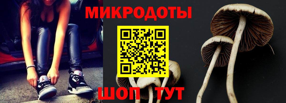 Галлюциногенные грибы мухоморы  Вход с VPN  Омск  Псилоцибиновые грибы мицелий 